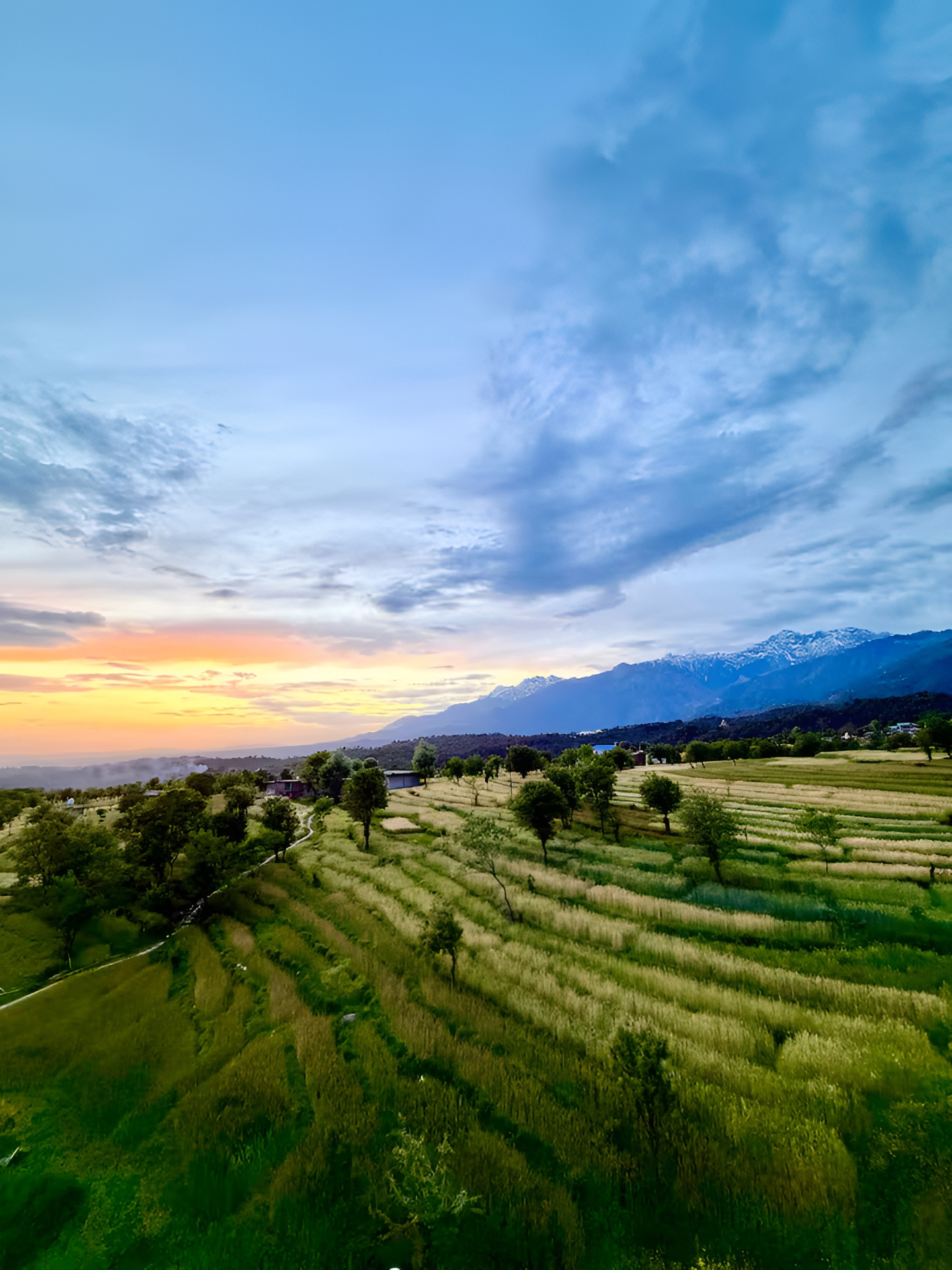 Views from Bir, Himachal Pradesh